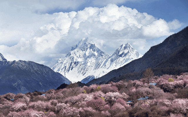 科技铸魂·文化新生｜石代5DVR重构藏王故里文脉，以IP+科技赋能雪域文旅全链升级(图1)