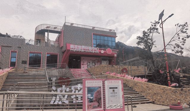 科技铸魂·文化新生｜石代5DVR重构藏王故里文脉，以IP+科技赋能雪域文旅全链升级(图2)